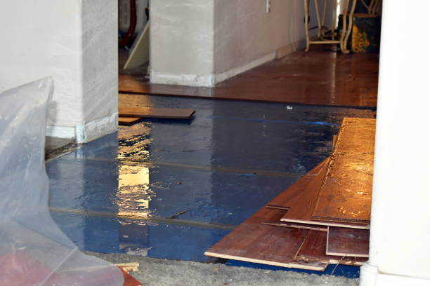 Professional Sewage Cleanup technician working in Olivet, SD